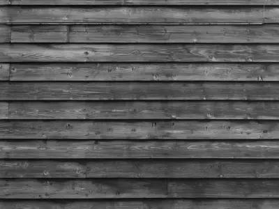 Showcase with fish and seafood 3D model