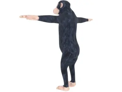 Low poly Ape Model chimpanzee Free low-poly 3D model