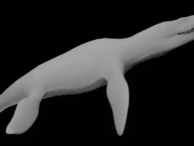 Rigged Liopleurodon 3D Model  Highly Detailed Clean Topology   3D model
