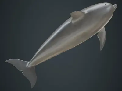 Dolphin 1A Low-poly 3D model