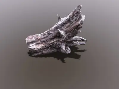 Bark tree part Low-poly 3D model