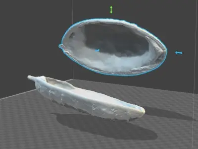 INVASION of the BODY SNATCHERS  POD shaped box 3D print model