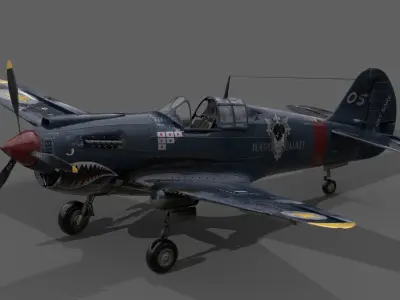 P40 WARHAWK 3D model