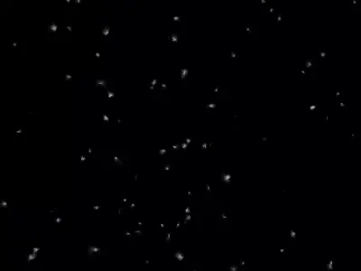 Tactical Modular Assault Helmet 3D Model Elite Protection Low-poly 3D model