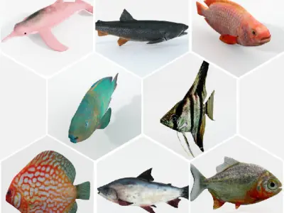 15 Freshwater  Fish Pack Low-poly 3D model
