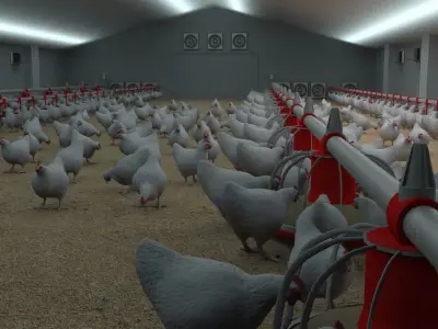 Poultry farm with rigged and animated chickens 3D model