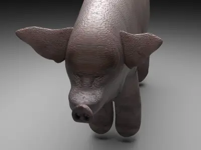 Pig Animal 3D model