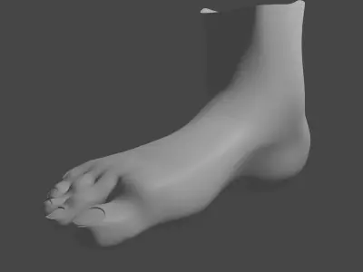 Stylized Foot Low-poly 3D model
