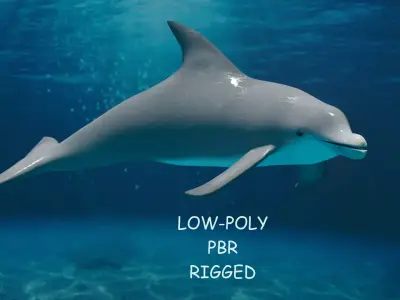 DOLPHIN LOW-POLY 3D MODEL whale tail Low-poly 3D model