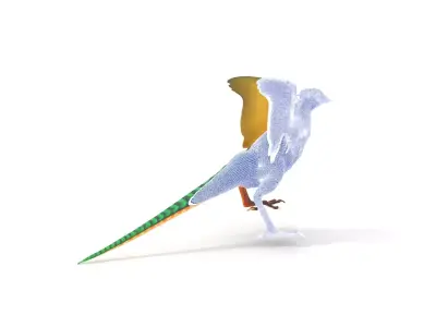 Colorful Archaeopteryx model pack Low-poly 3D model