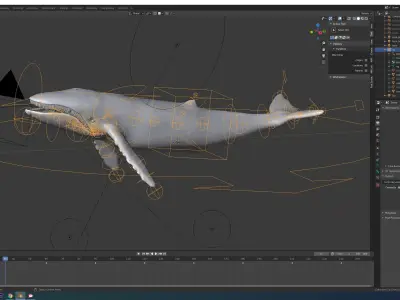 Humpback Whale rigged animated 3D model