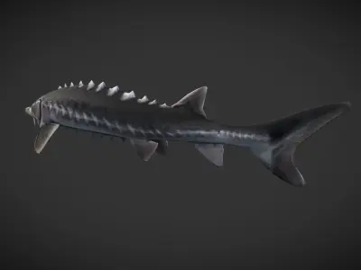 Shark fish with spikes Low-poly 3D model