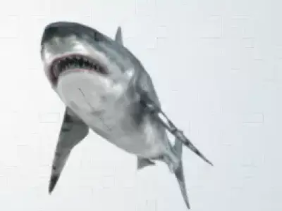 shark great jigsaw puzzle 3D model