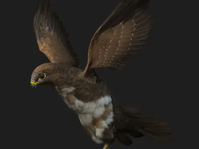 Kestrel B3 3D model