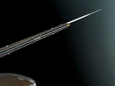 SOLDIER Napoleon rifle 3D model