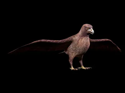 Eagle Rig Low-poly 3D model