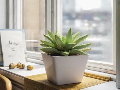  Short Leaved Aloe Succulent Potted Plant Model 