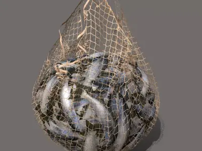 Fishing net Low-poly 3D model