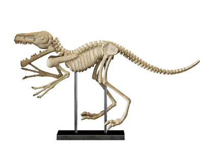 Sculptures 09 3D model