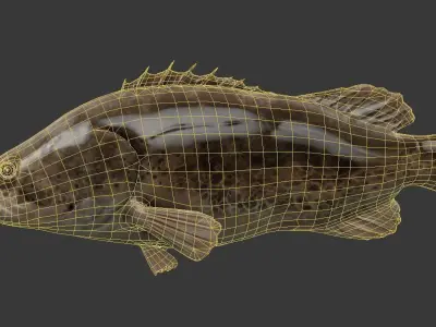 mandarin fish Low-poly 3D model