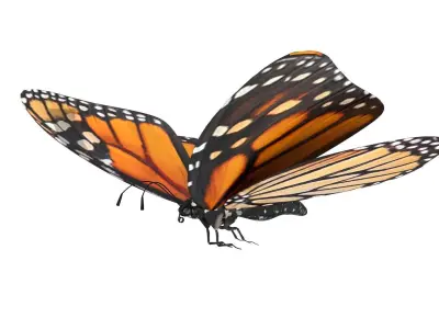 Flying Monarch Butterfly 3D model