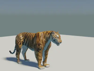 Tiger rigged 3D Model 3D model