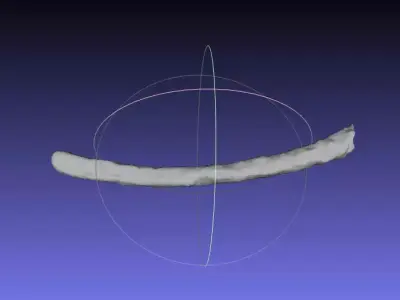 Psittacosaurus Right Dorsal Rib 5 Mirrored Free 3D print model