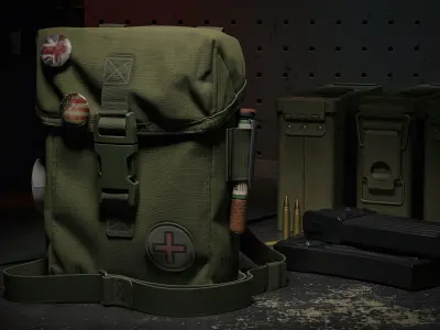 pouch medical military bug Low-poly 3D model