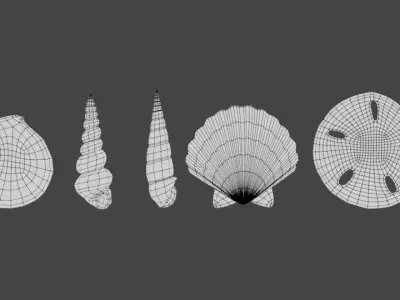 Seashells  3D model