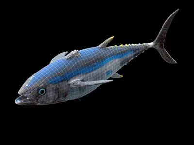 Bluefin tuna Low-poly 3D model