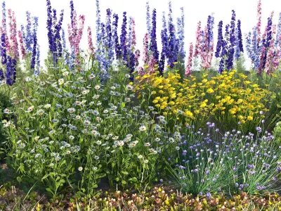 Flower beds 3D model