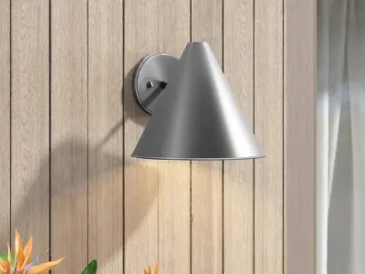Dedmon Glass Outdoor Armed Sconce - 2 colour Free 3D model
