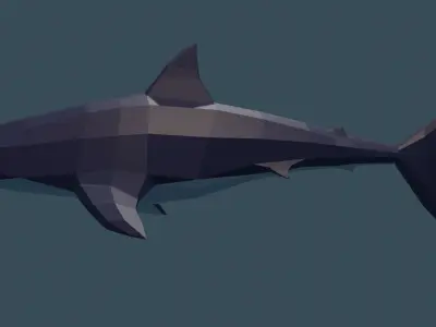Shark Free low-poly 3D model