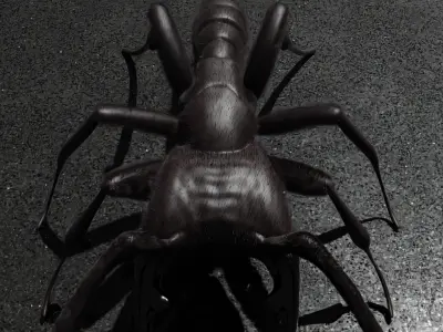 Sculpted ant 3D model with hair Low-poly 3D model