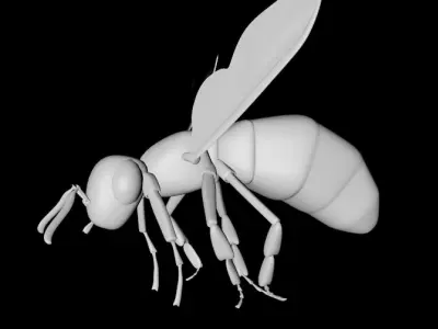 flying bee 3D model