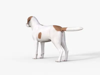 Street Dog Rigged 3D model