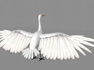 Intermediate Egret 3D model