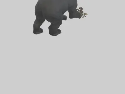 Black Bear cub exploring model 3D model