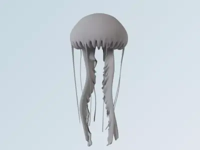 jellyfish 3D model