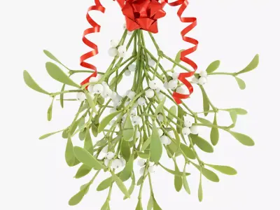 Mistletoe Bunch 3D model