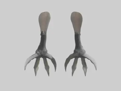 Falcon Talons Low-poly 3D model