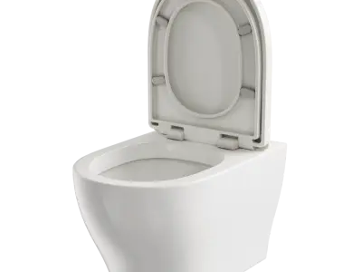  Back-to-Wall Toilet Model 