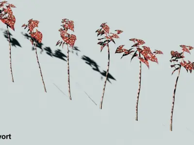 Alien herbs 8 Low-poly 3D model