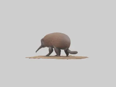Echidna burrowing model Low-poly 3D model