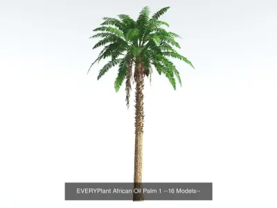 EVERYPlant African Oil Palm Bundle --64 Models-- 3D Model Collection