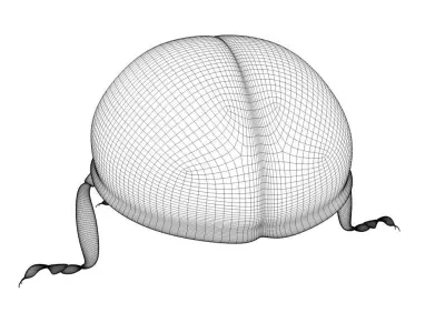 Ladybug 3D Model 3D model