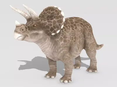 Triceratops Animated Low-poly 3D model
