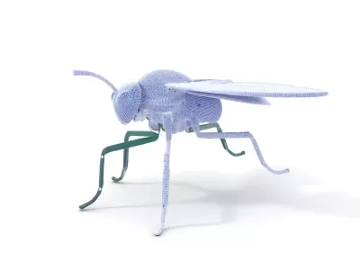 Green Cyborg Insect model pack Low-poly 3D model