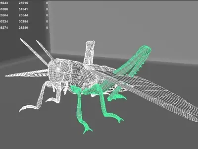 4 Type of insects Low-poly 3D model
