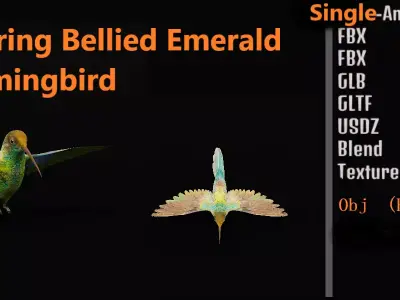 Glittering Bellied Emerald Hummingbird Low-poly 3D model